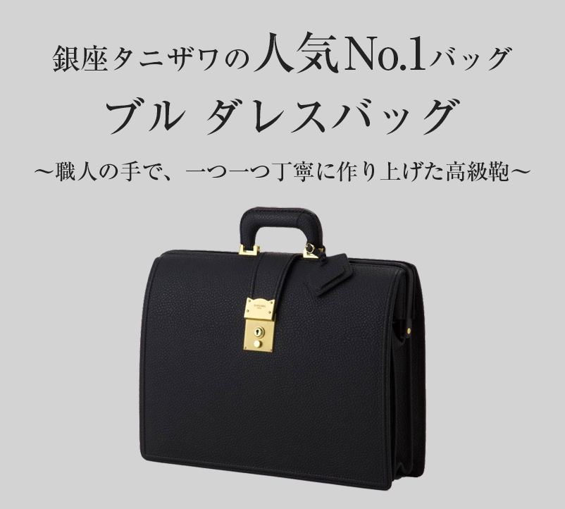銀座タニザワ鞄 GINZA Tanizawa 本革書類カバン　メディシンバッグ