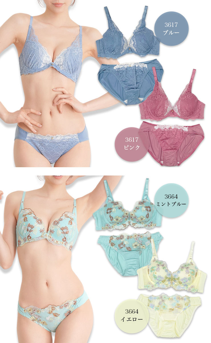 ブラジャーショーツセット（Dカップ・アンダー85/90/95/100） (j3a-d)