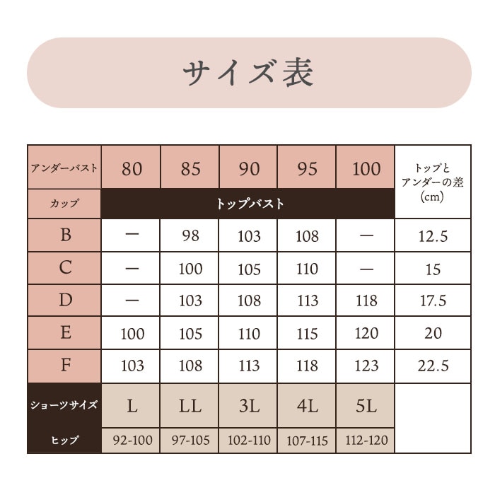大きいサイズ ブラショーツ 福袋 2026 ブラジャー ショーツセット