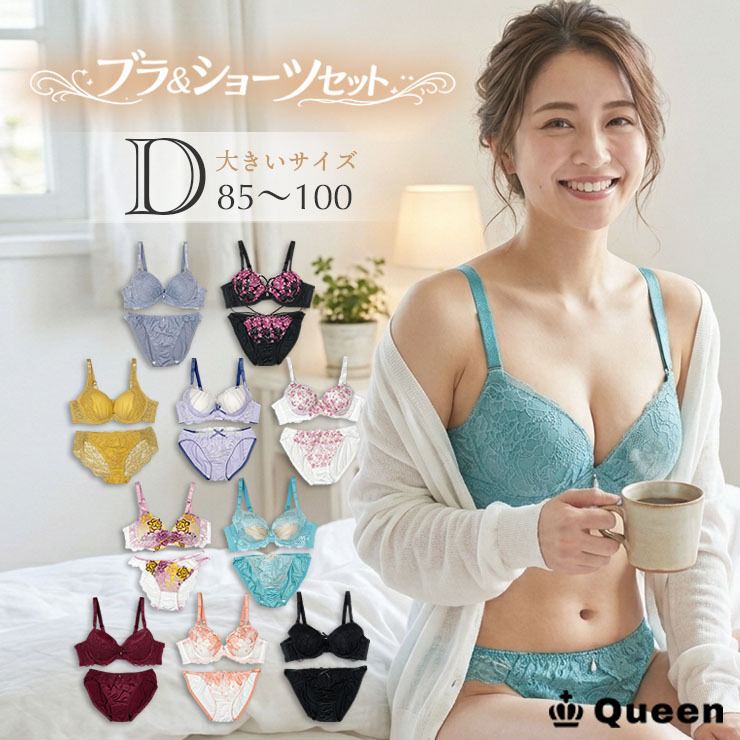 ブラジャー＆ショーツセット（Dカップ・アンダー85/90/95/100） (j2-d)
