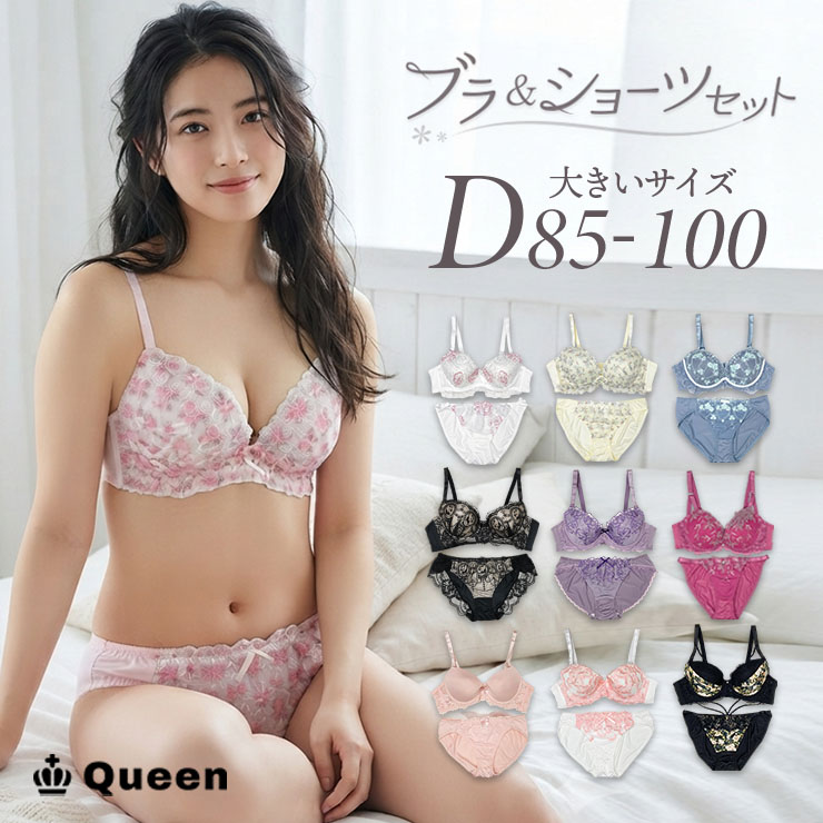 ブラジャーショーツセット（Dカップ・アンダー85/90/95/100） (j3b-d)