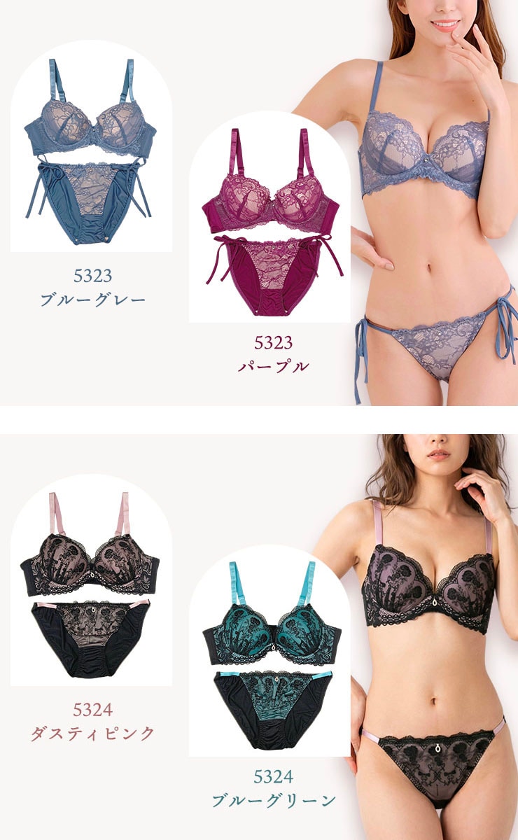 脇高ブラジャーショーツセット （Dカップ・アンダー85/90/95/100） (j5-d)