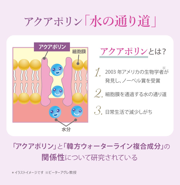 サイムダン プレミアム ファーストクラス 美容液化粧水 リッチ