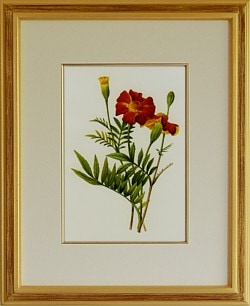 ���󥻥󥫡ʥޥ꡼������ɡ�