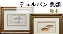 魚の絵 テュルパン「自然科学事典」魚類編