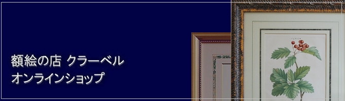 ۳Ź 顼٥ 饤󥷥å