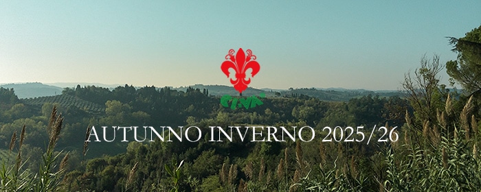 バッグ KEI 楽天市場】青木鞄 牛革 ショルダーバッグ 2way メンズ COMPLEX