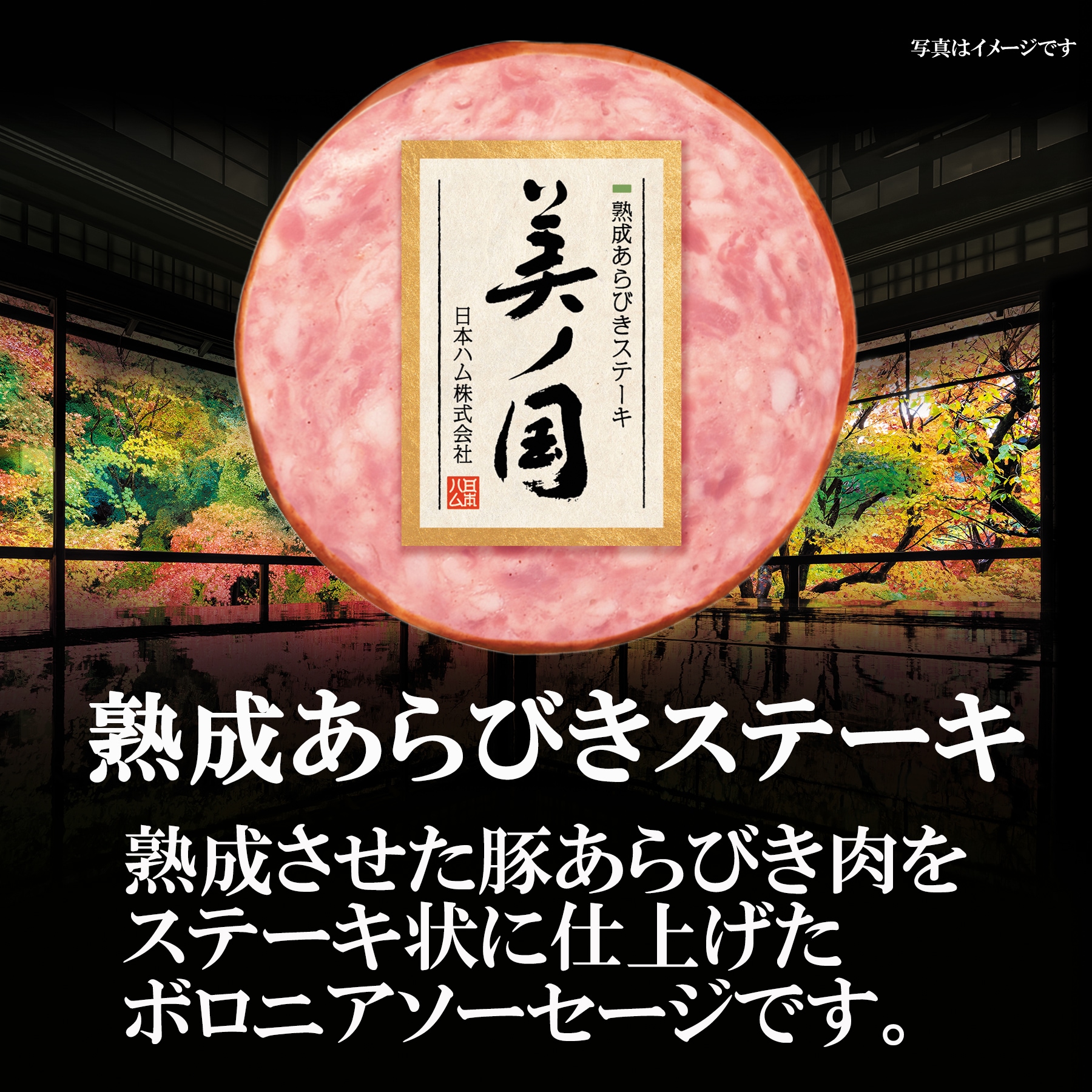 熟成させた豚あらびき肉をステーキ状に仕上げたボロニアソーセージです。