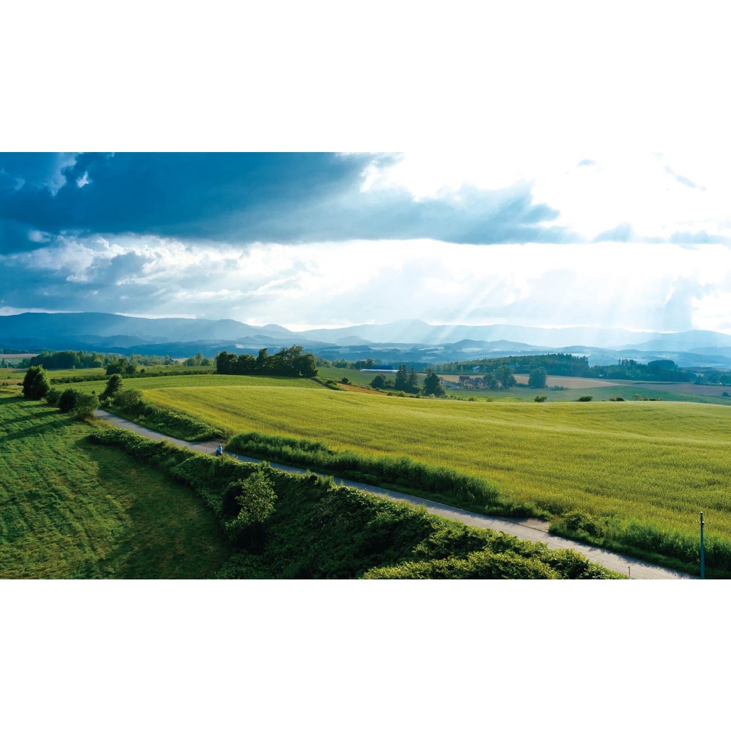 北海道の自然の中で育った北海道産原料肉だけにこだわって、「美ノ国」はつくられています。