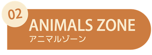 アニマルゾーン