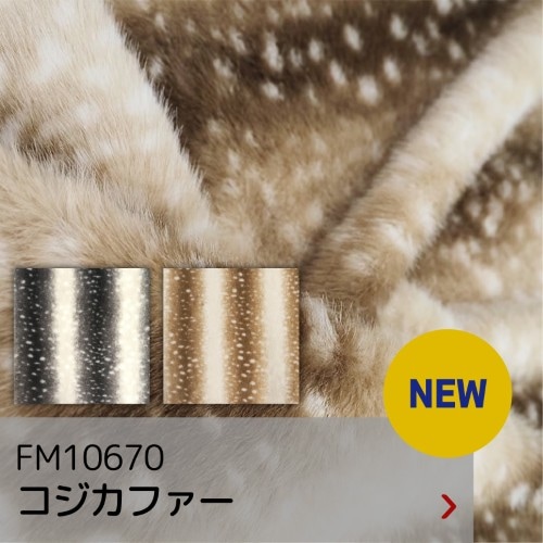 FM10670 コジカファー