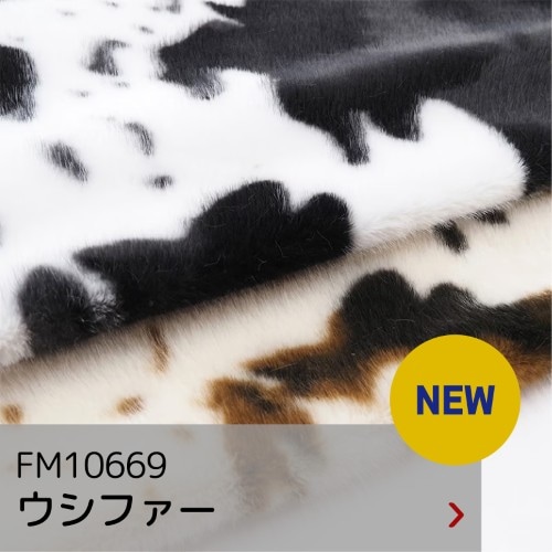 FM10669 ウシファー