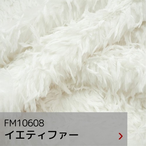FM10670 イエティファー