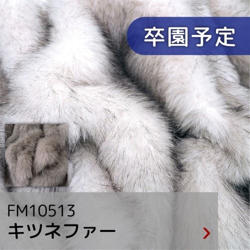 FM10513 キツネファー
