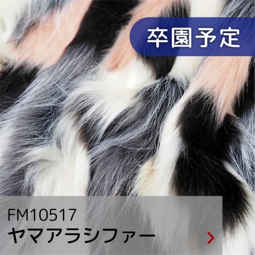 FM10517 ヤマアラシファー