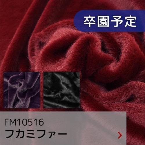 FM10516 フカミファー
