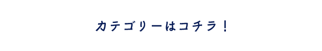 スパンコール・ラメカテゴリーはこちら！