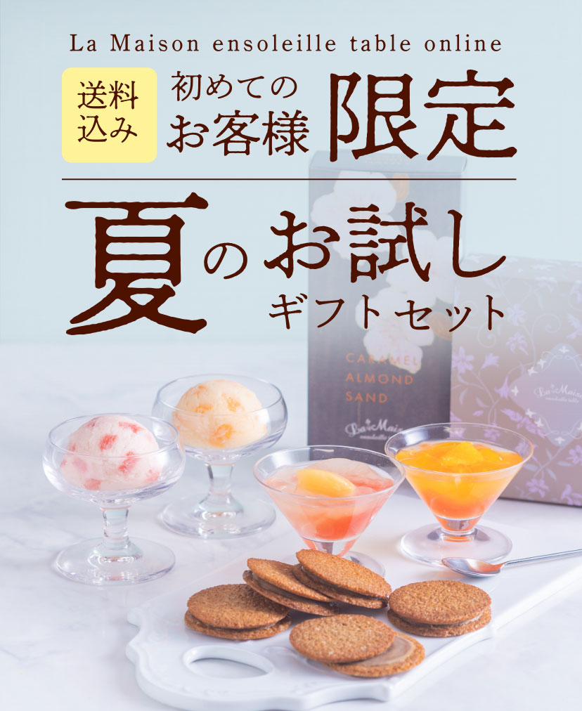 【初めてのお客様限定】夏のお試しセットギフトセット（送料込み）