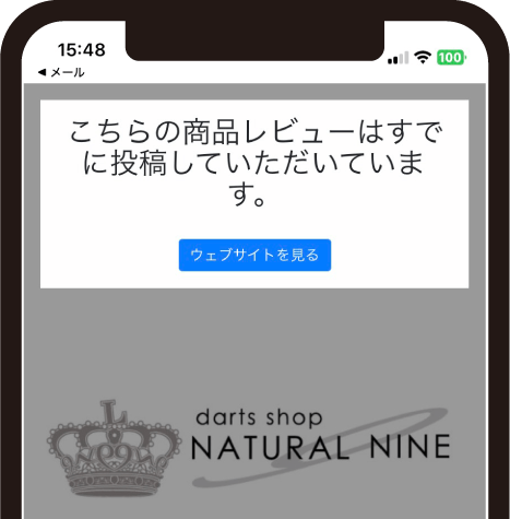 レビュー解説イラスト