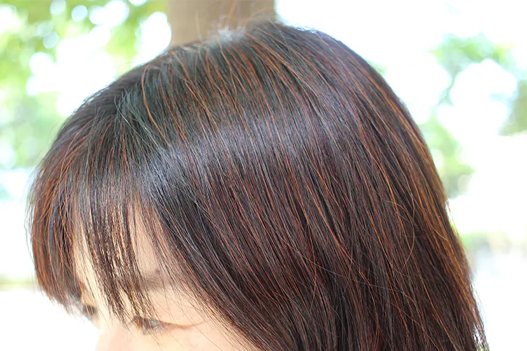 ����󥸥֥饦��Υ�ǥ�2