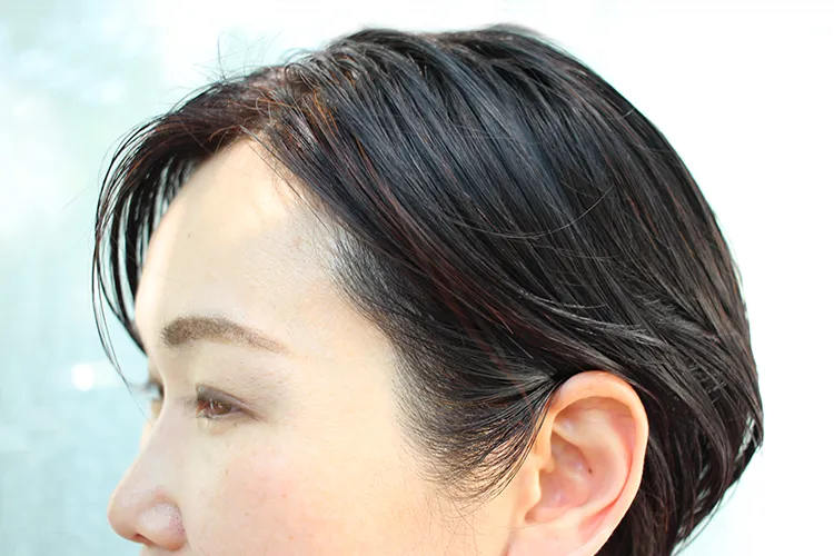 ����󥸥֥饦��Υ�ǥ�1
