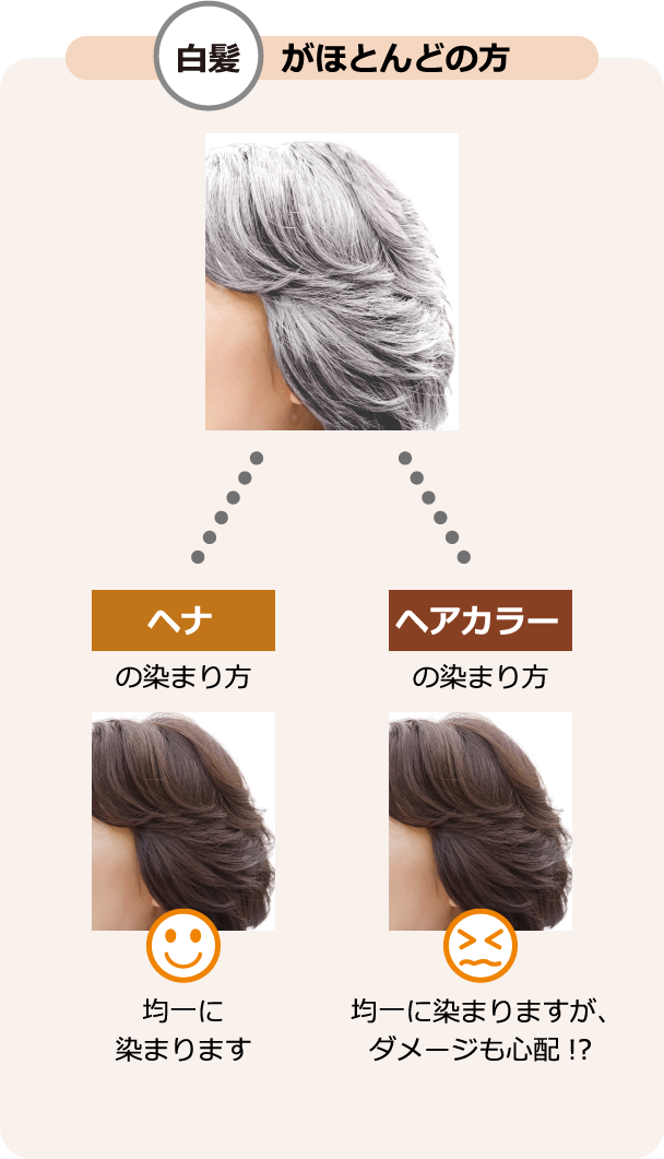 ヘナの色の選び方｜ヘナ・白髪染めのグリーンノート【公式オンライン