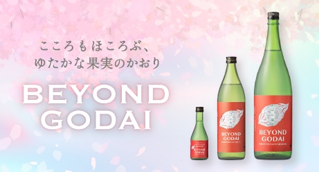 BEYOND GODAI�ʥӥ��� ��������