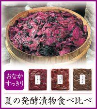 乳酸発酵の京漬物