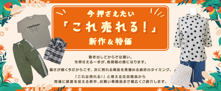 �������롪������ò�