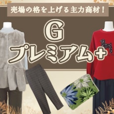 G�ץ�ߥ���+
