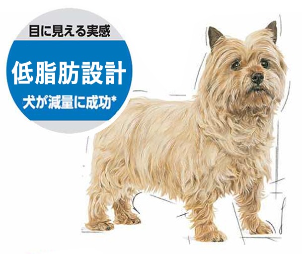 減量したい犬用（体重・体型・太りぎみ）