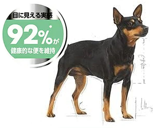 お腹の健康を維持したい犬用