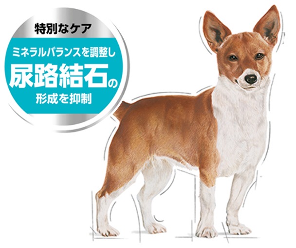 健康な尿を維持したい犬用