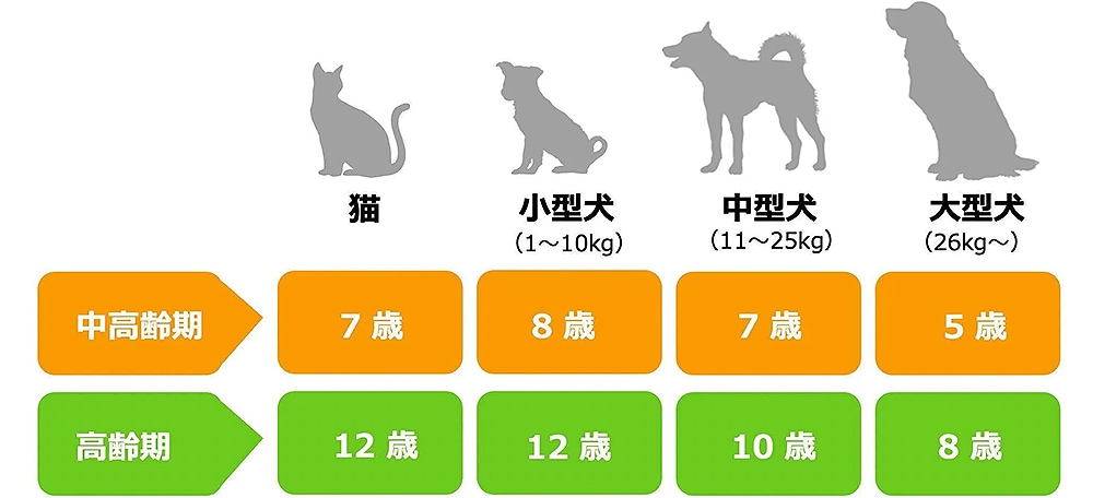 中高齢期・高齢期