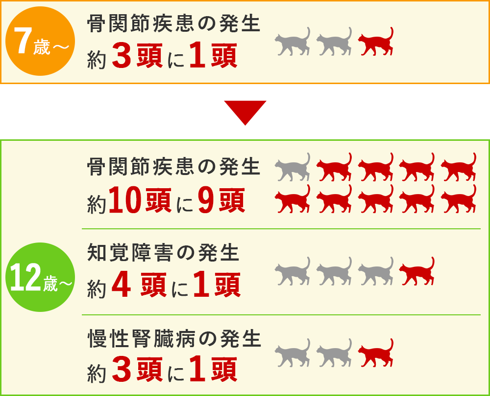 目には見えない「老化」が始まってる？」