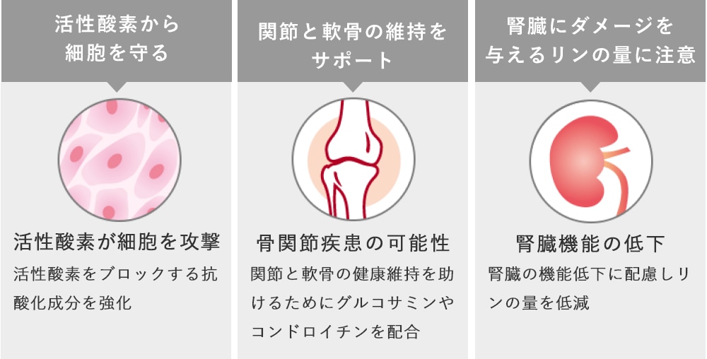 中・高齢期の体の変化