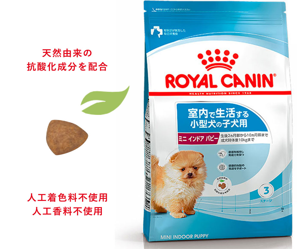 ロイヤルカナン　ミニインドアパピー