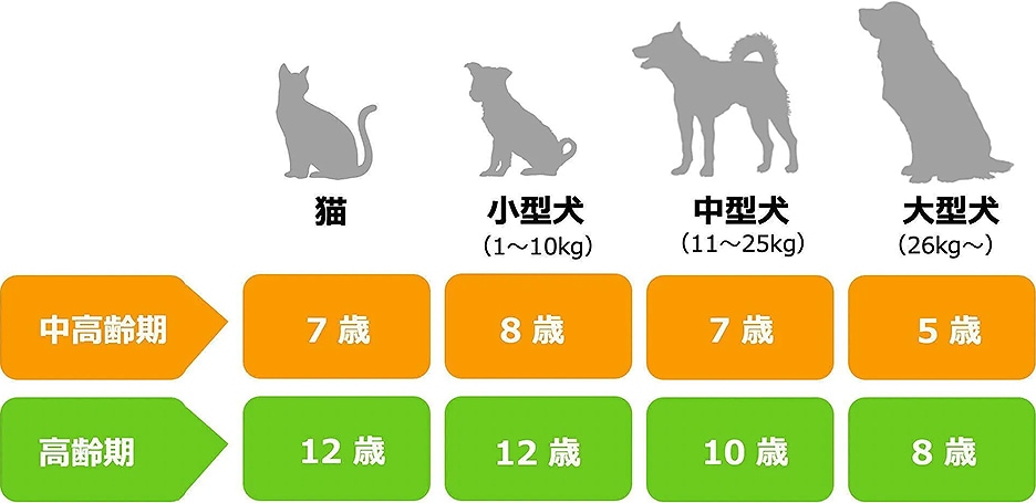 中高齢期・高齢期