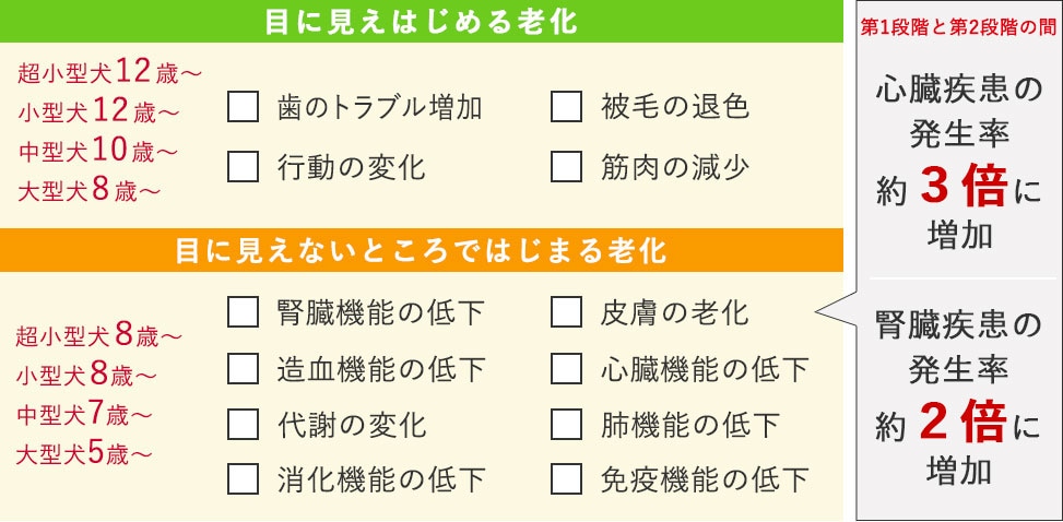 目には見えない「老化」が始まってる？」