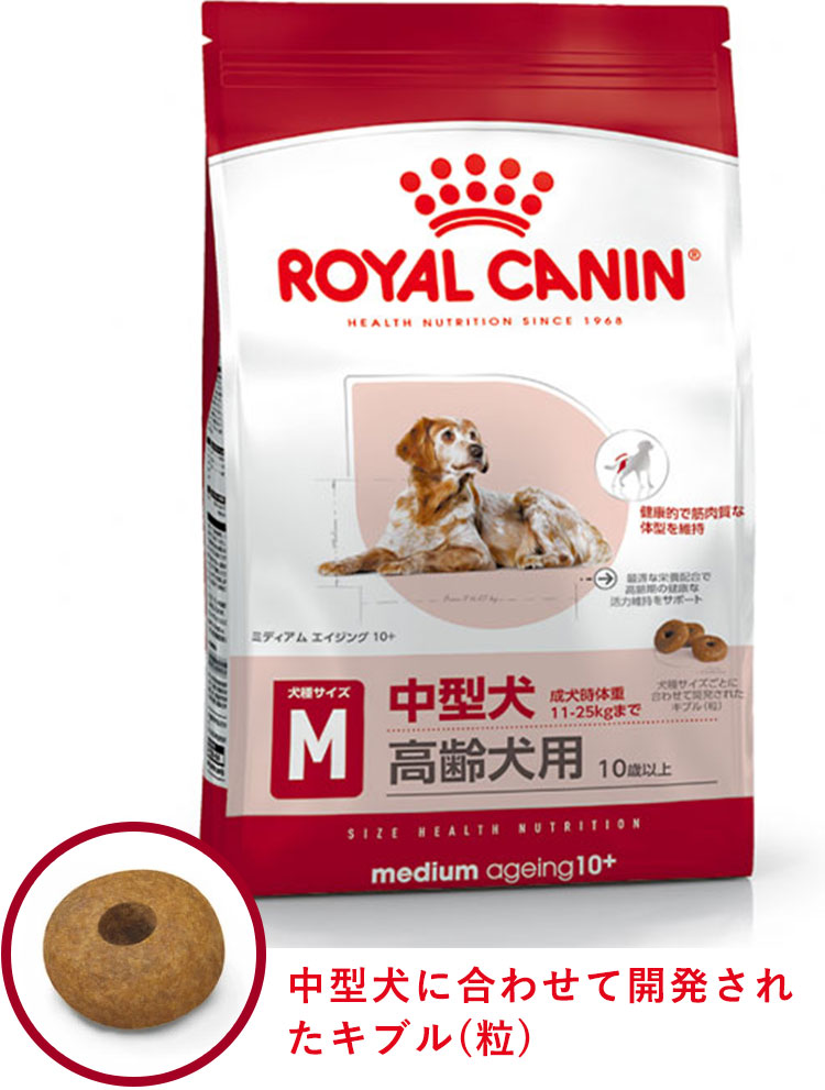 中型犬用　高齢用