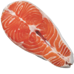 salmon
