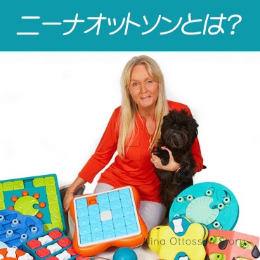 【値下げ】ニーナ・オットソン Nina Ottosson【犬/おもちゃ/知育】