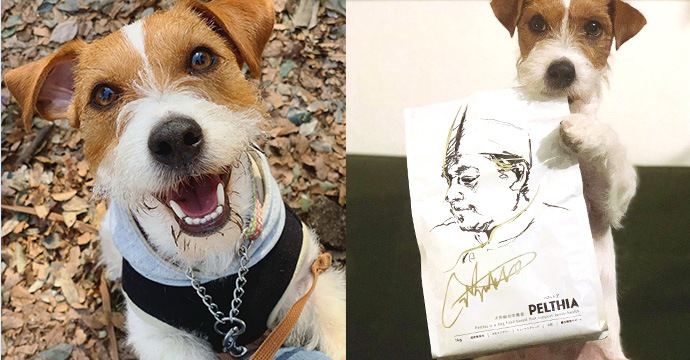 Pelthia ペルシア