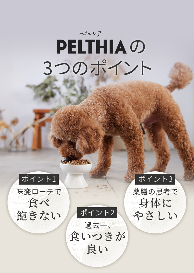 PELTHIA(ペルシア)ドッグフード   850g×2袋