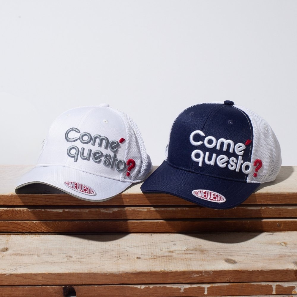 コメクエスト　ロゴキャップ１２　