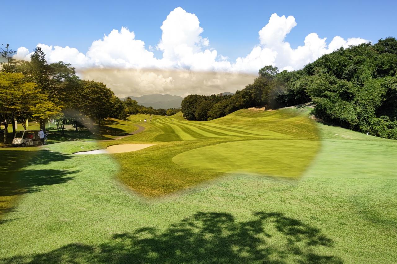 ESS クロスブレード STD 1フレーム＆2レンズ オリジナルセット