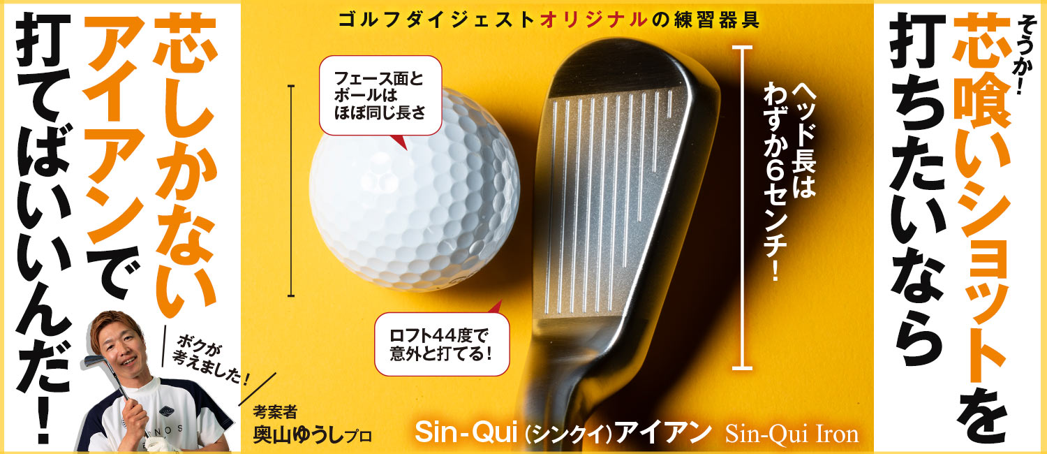 シンクイアイアン再掲
