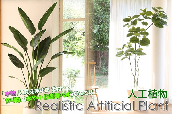 新作商品 人工植物 グリーンデコ ミニマキ板付 80cm 人工観葉