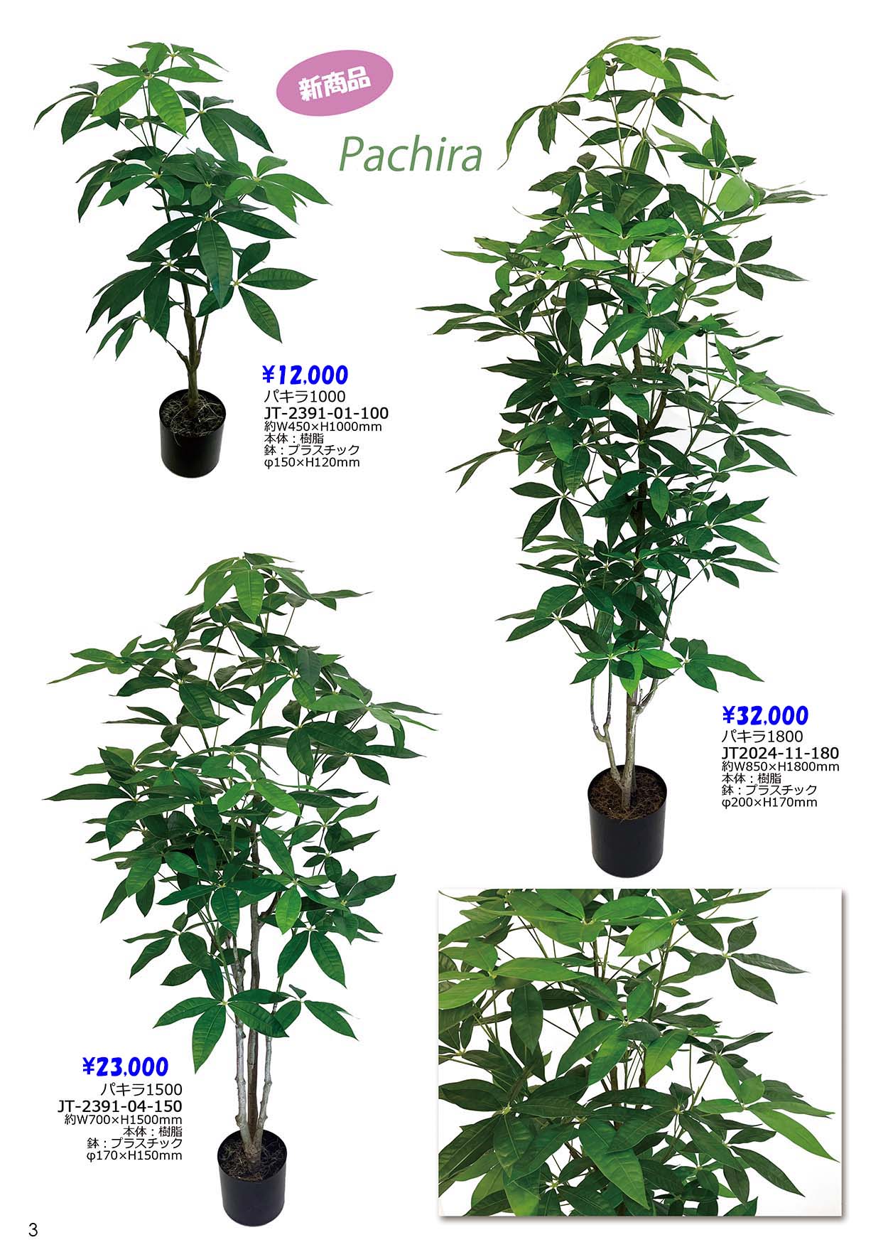 Green Coffret【グリーン コフレ】