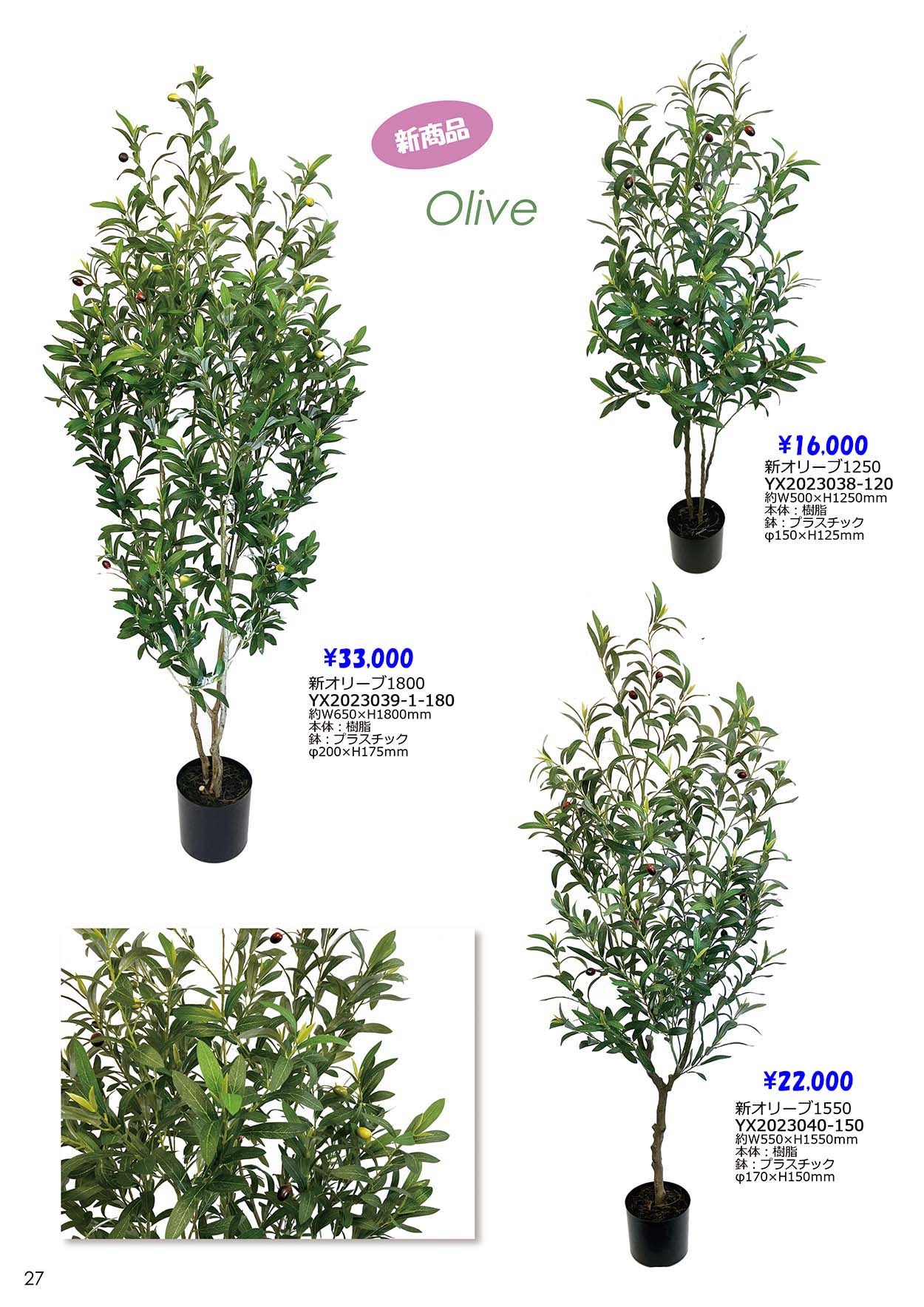 Green Coffret【グリーン コフレ】